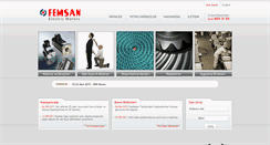 Desktop Screenshot of femsan.com